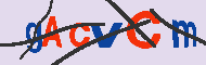 Captcha認証コード